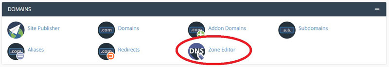 cPanel DNS Zone Editor